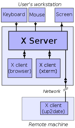Example deployment of X server: the X server receives input from a local keyboard and mouse and displays to a screen. A web browser and a terminal emulator run on the user's workstation and a software update application runs on a remote computer but is controlled and monitored from the user's machine