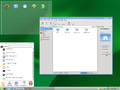 openSUSE 11.1,